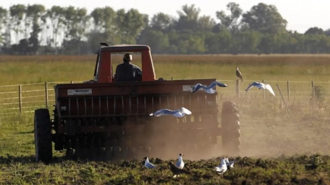 La participación del Estado en la renta agrícola es la más alta de los últimos 6 años