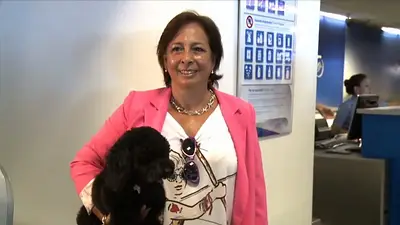 La primera pasajera de Aerolíneas que viajó con su perro en la cabina La primera pasajera de Aerolíneas que viajó con su perro en la cabina