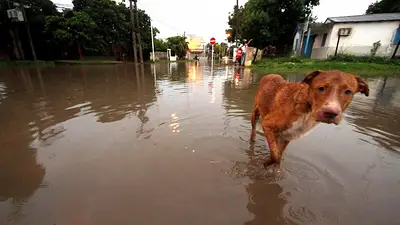 Las inundaciones siguen afectando a varias ciudades de Entre Ríos Las inundaciones siguen afectando a varias ciudades de Entre Ríos