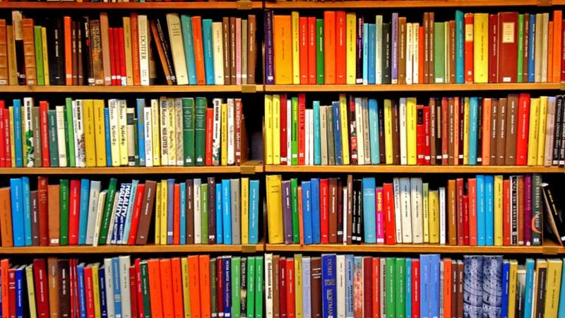 ¿Cómo le fue a la industria editorial argentina con "el cepo" a los libros?