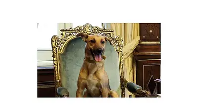 La burla de Horacio González a Balcarce, el perro del PRO La burla de Horacio González a Balcarce, el perro del PRO