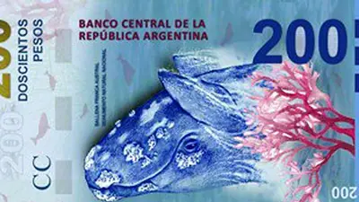 Increíble: dibujaron mal a la ballena en el billete de 200 pesos Increíble: dibujaron mal a la ballena en el billete de 200 pesos