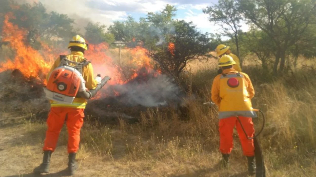 Doctrina Bergman: el intendente de Telén denuncia que el Estado Nacional nunca se acercó por los incendios