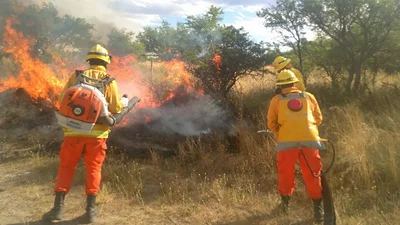 El campo cruzó al Gobierno por los incendios y lo acusó de "posar para fotos" El campo cruzó al Gobierno por los incendios y lo acusó de "posar para fotos"