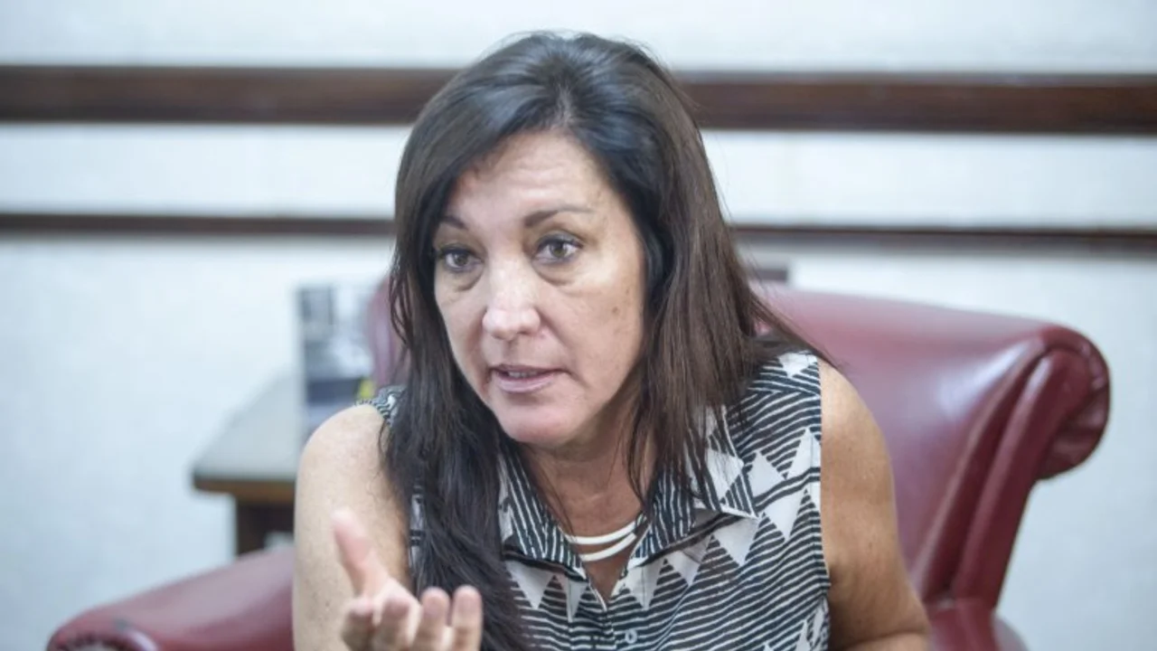 La jefa de los senadores PRO comparó el caso Arribas con Milagro Sala