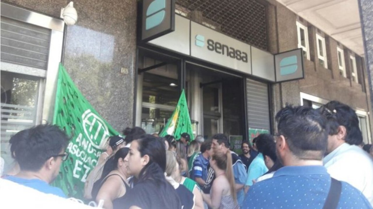Senasa despidió a 128 trabajadores que resguardaban el cultivo de las plagas