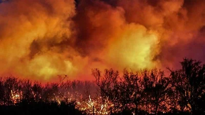 Se incendian 230 mil hectáreas en Mendoza y La Pampa Se incendian 230 mil hectáreas en Mendoza y La Pampa