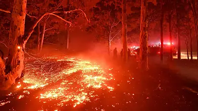 El humo de los incendios de Australia, que dejaron muertos, heridos y evacuados, llegó a Argentina El humo de los incendios de Australia, que dejaron muertos, heridos y evacuados, llegó a Argentina