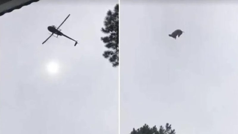 "Fue una broma de muy mal gusto", la versión del empresario sobre el chancho que arrojaron a su pileta
