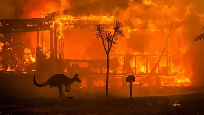 La impactante historia detrás de la foto más famosa de los incendios en Australia La impactante historia detrás de la foto más famosa de los incendios en Australia
