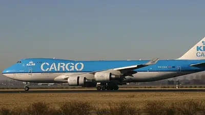 Encuentran entre caballos de polo más de 82 kilos de cocaína en un avión en Ezeiza Encuentran entre caballos de polo más de 82 kilos de cocaína en un avión en Ezeiza