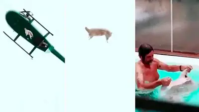 Filtran un nuevo video del cordero lanzado a la pileta desde un helicóptero que complica más a Federico Álvarez Castillo Filtran un nuevo video del cordero lanzado a la pileta desde un helicóptero que complica más a Federico Álvarez Castillo