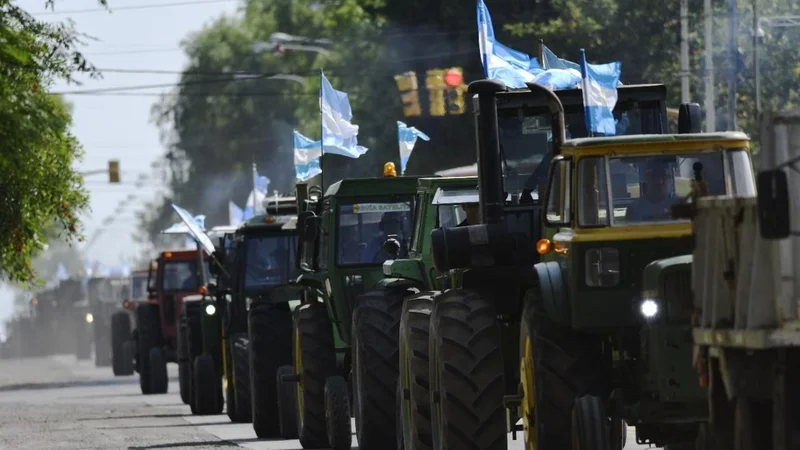 El Banco Nación congeló el crédito a agroproductores que no liquidan sus cosechas
