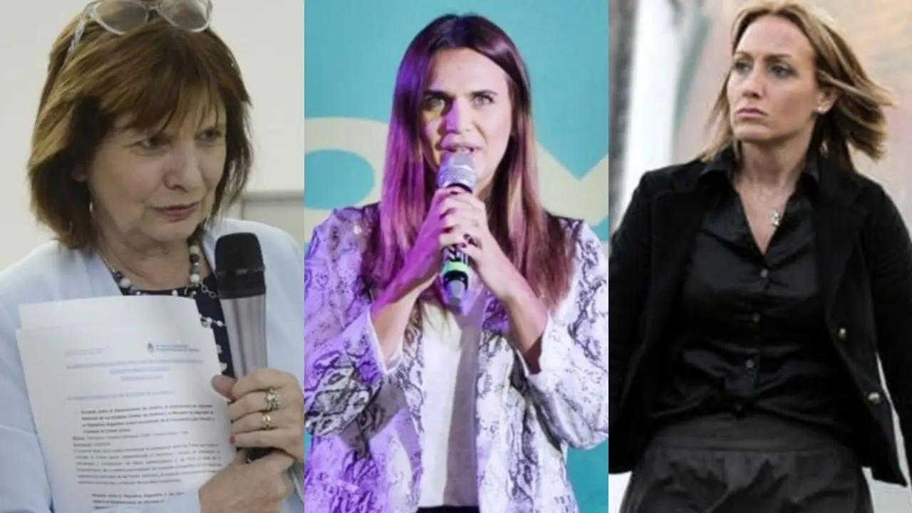 Por su "amistad", Florencia Arietto y Patricia Bullrich asesoraron a Amalia Granata en su proyecto de seguridad