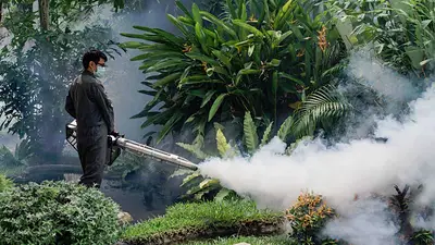 Una epidemia de dengue en la región amenaza con llegar a la Argentina Una epidemia de dengue en la región amenaza con llegar a la Argentina