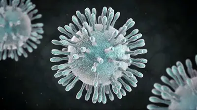 Guía: todas las recomendaciones del Gobierno sobre el coronavirus Guía: todas las recomendaciones del Gobierno sobre el coronavirus