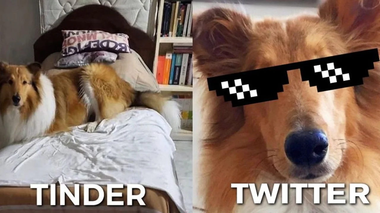 Furor viral en las redes sociales: Dylan Fernández se sumó al meme de los perfiles en LinkedIn, Instagram, Tinder y Twitter