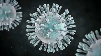 Alerta: confirman que el coronavirus podría estar más cerca de Argentina Alerta: confirman que el coronavirus podría estar más cerca de Argentina