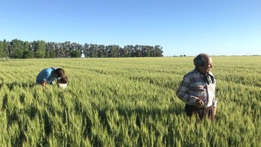 Productores se oponen al lockout: "Tienen una lógica financiera"
