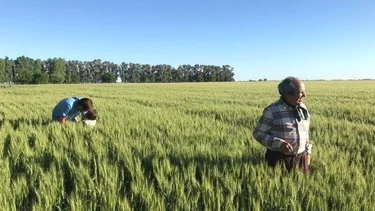 Productores se oponen al lockout: "Tienen una lógica financiera"