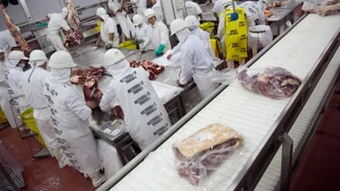 La producción de carne cerró el 2020 con el mejor desempeño en 40 años