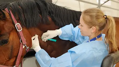 Coronavirus: medios del mundo destacan la eficacia del suero equino producido en Argentina Coronavirus: medios del mundo destacan la eficacia del suero equino producido en Argentina