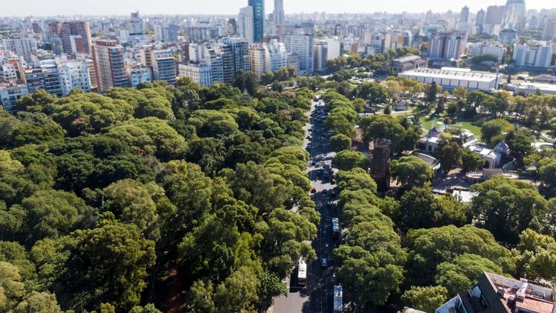 Necesarios para la salud: los árboles y los espacios verdes, los grandes aliados