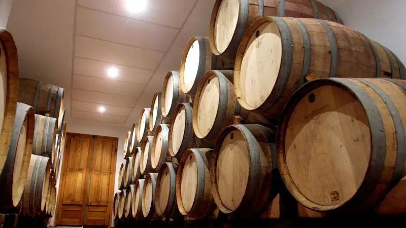 Vitivinicultura
