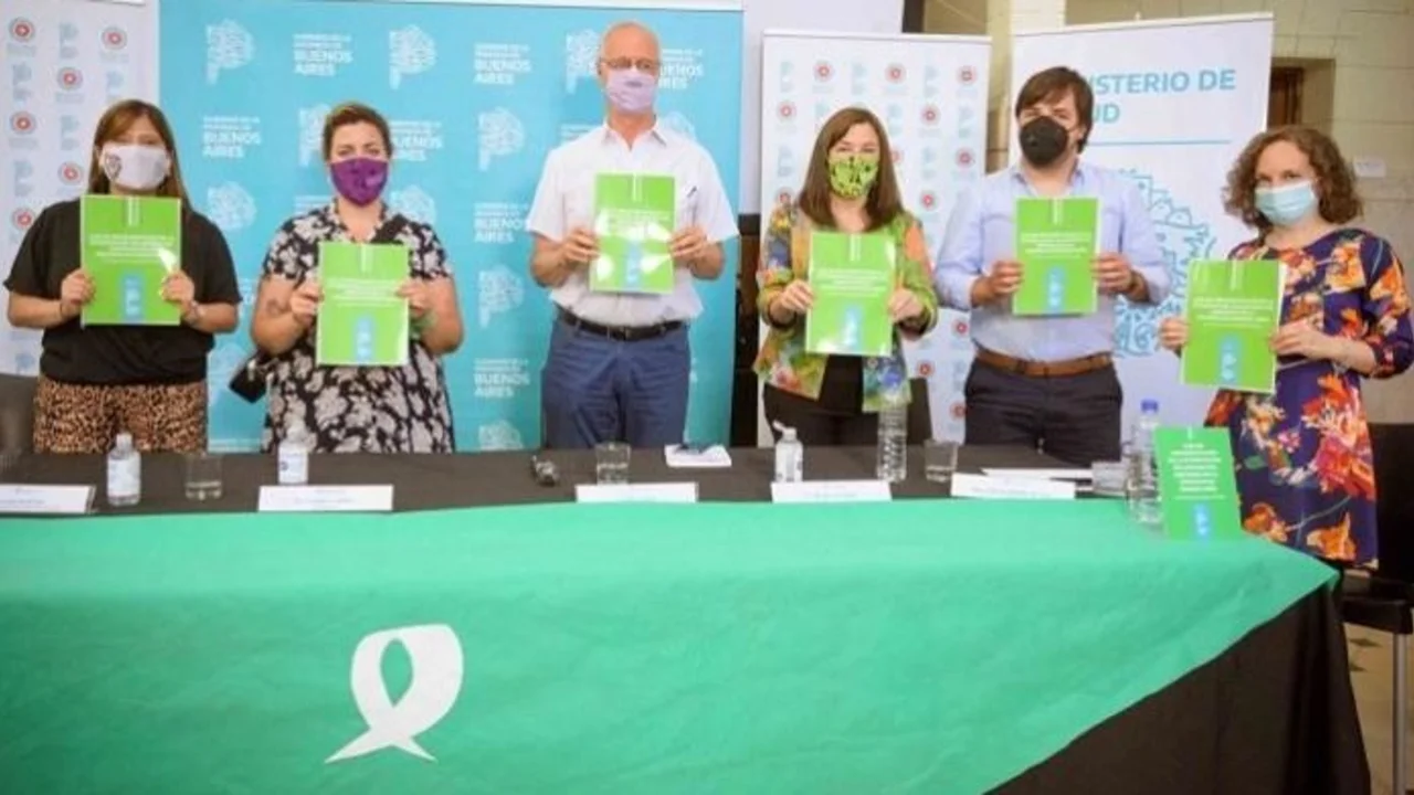 Aborto legal: Provincia oficializó la aplicación de la guía IVE