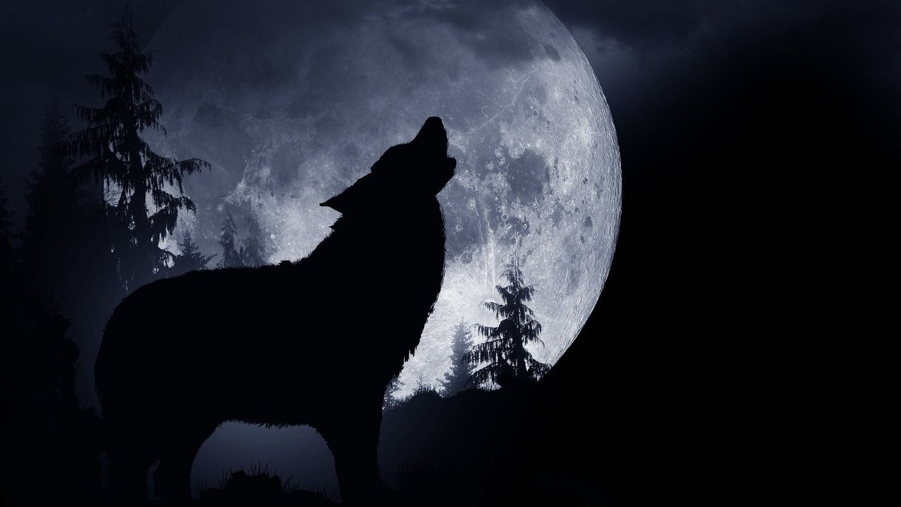 Luna de Lobo: ¿qué significado tiene y por qué se llama de esa manera?