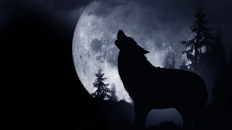 Luna del Lobo