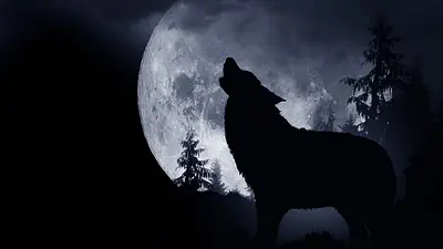 Luna del Lobo Luna del Lobo