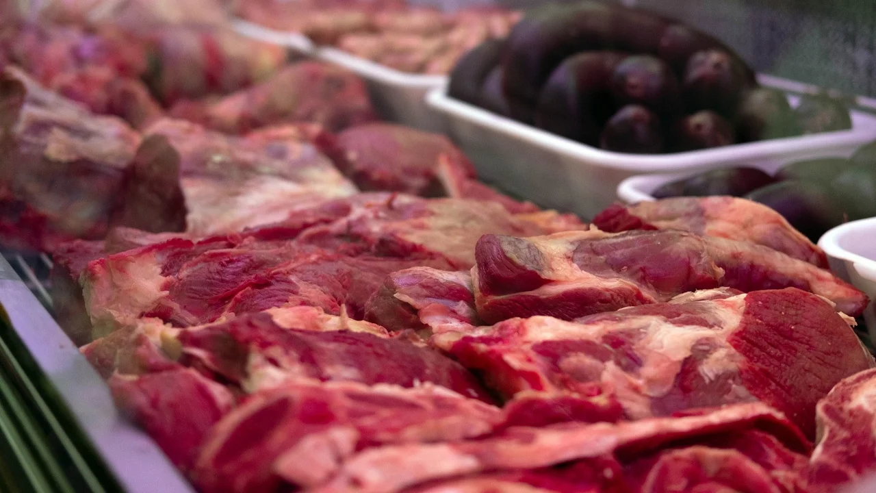 Carne