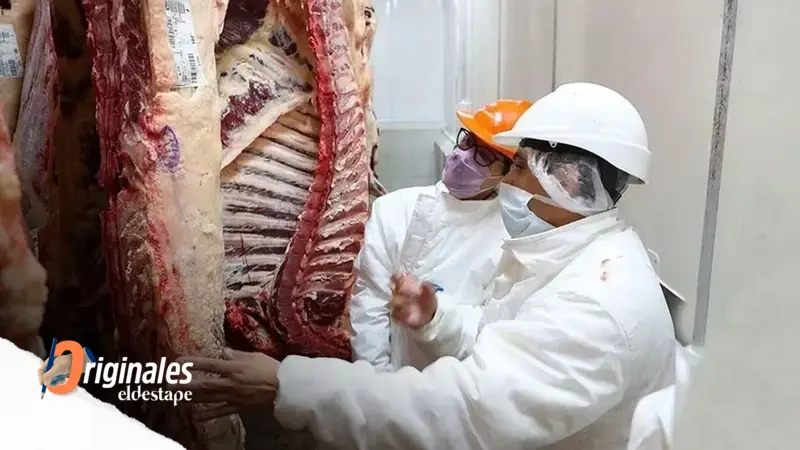 Carne: la caída del consumo y suba de precios terminan en ganancias para el sector Carne: la caída del consumo y suba de precios terminan en ganancias para el sector