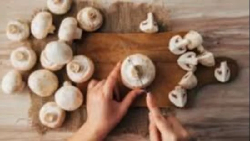 Champignones. Recetas de cocina