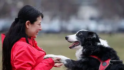 ¿Micsoda? El cerebro de los perros distingue el español del húngaro, según un estudio ¿Micsoda? El cerebro de los perros distingue el español del húngaro, según un estudio