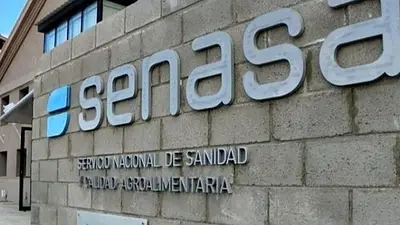Los grandes exportadores advirtieron al Gobierno por los despidos en Senasa Los grandes exportadores advirtieron al Gobierno por los despidos en Senasa