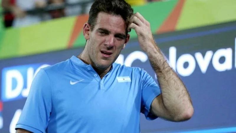 Juan Martín del Potro