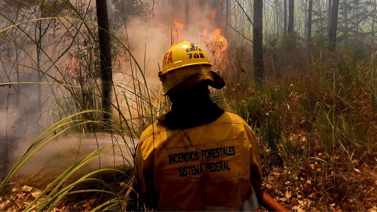Más de 150 bomberos controlaron los focos de incendio en los pastizales de Ezeiza