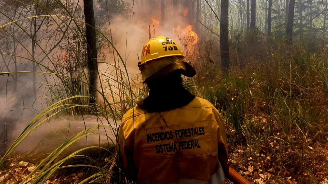 Más de 150 bomberos controlaron los focos de incendio en los pastizales de Ezeiza