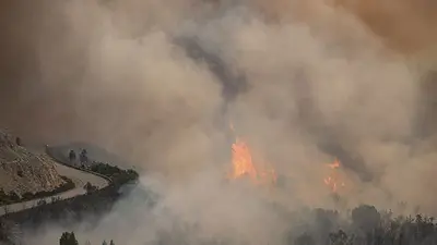 Siguen los incendios en Santa Fe, Entre Ríos, Río Negro, Buenos Aires, San Luis y Mendoza Siguen los incendios en Santa Fe, Entre Ríos, Río Negro, Buenos Aires, San Luis y Mendoza