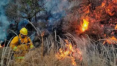 Incendio en Corrientes: qué ayuda envió el gobierno nacional Incendio en Corrientes: qué ayuda envió el gobierno nacional