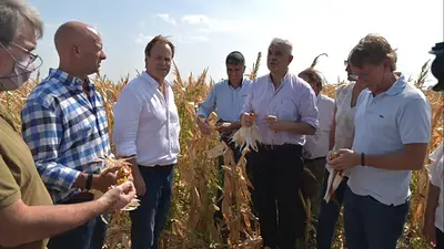 Domínguez, a los productores afectados por la sequía: "Estamos trabajando en soluciones concretas" Domínguez, a los productores afectados por la sequía: "Estamos trabajando en soluciones concretas"