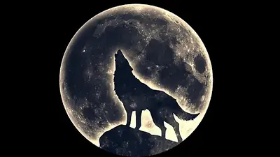 Luna llena de Lobo Luna llena de Lobo