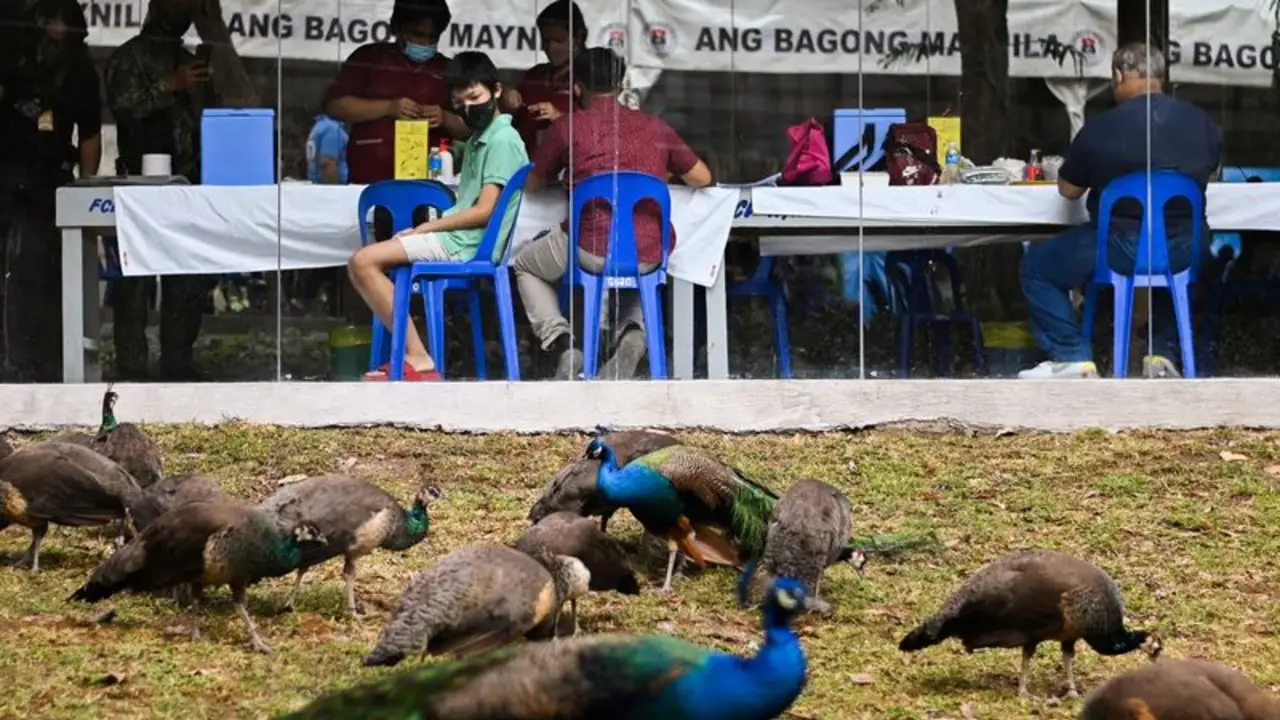 Entre águilas y elefantes, Filipinas anima al público a vacunarse en el zoológico