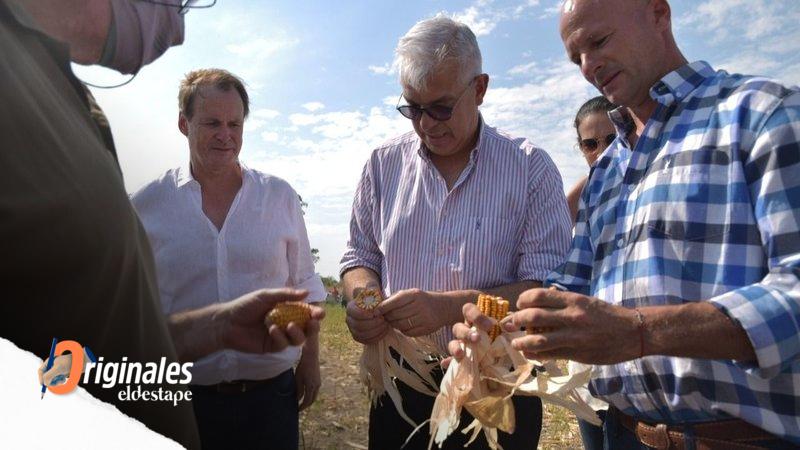 Sequía en Entre Ríos: los productores piden declarar el desastre agropecuario