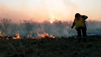 Alerta roja en Corrientes por altas temperaturas, sequía e incendios forestales Alerta roja en Corrientes por altas temperaturas, sequía e incendios forestales