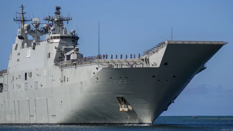 Ayuda humanitaria en Tonga