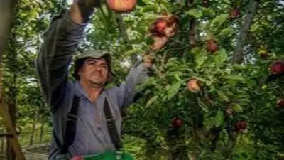 Paritarias 2022: frutihortículas de la UATRE consiguieron 52% Paritarias 2022: frutihortículas de la UATRE consiguieron 52%
