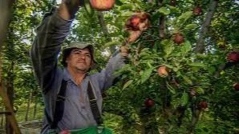 Paritarias 2022: frutihortículas de la UATRE consiguieron 52%